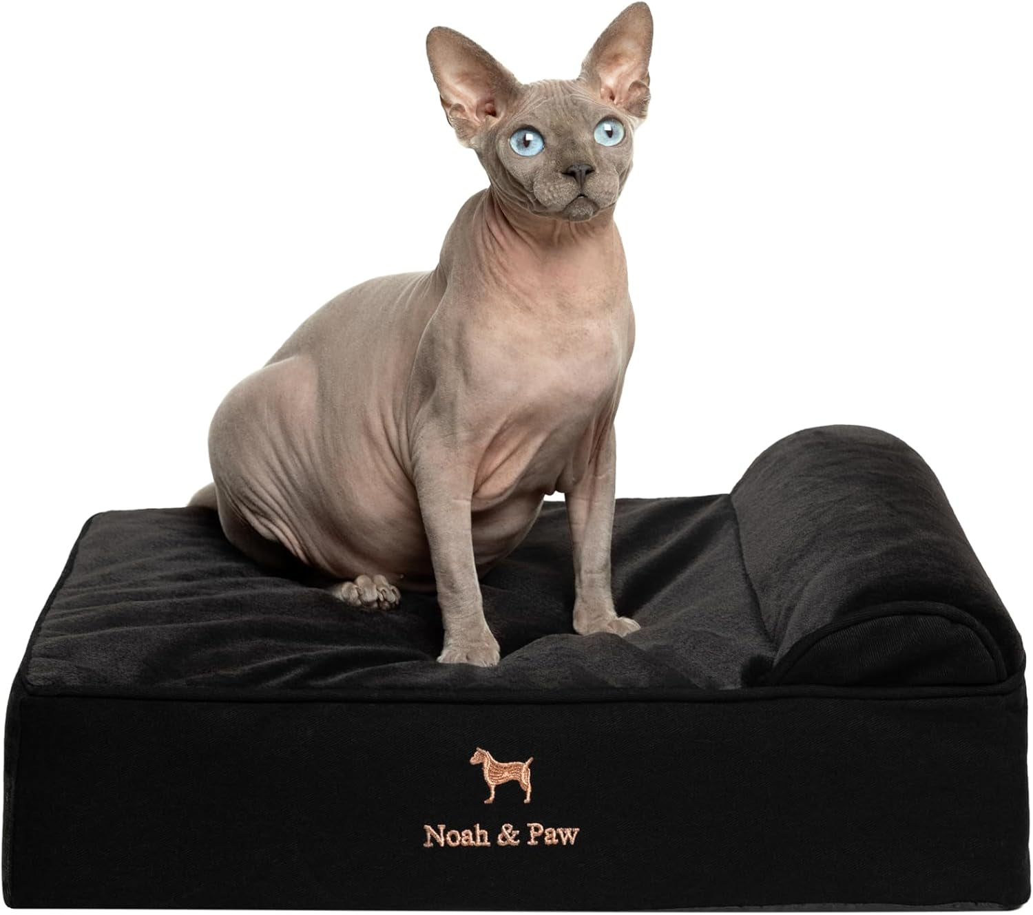noah-paw-large-dog-bed-35x25x8-7-inch-orthopedic-dog-beds-eggshell-memory-foam-infused-with-cooling-gel-water-resistant-machine-washable-includes-inner-cover-velvet-collection