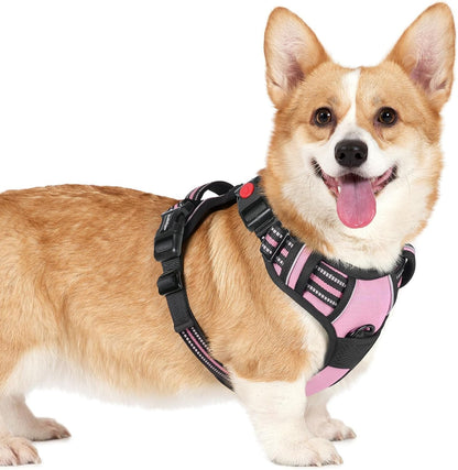 Rabbitgoo Dog Harness Medium Sized, Updated Easy on & off with 3 Buckles | No Pull No Choke, Walking with 2 Clips and Handle, Adjustable Soft Reflective, Blue, Medium25