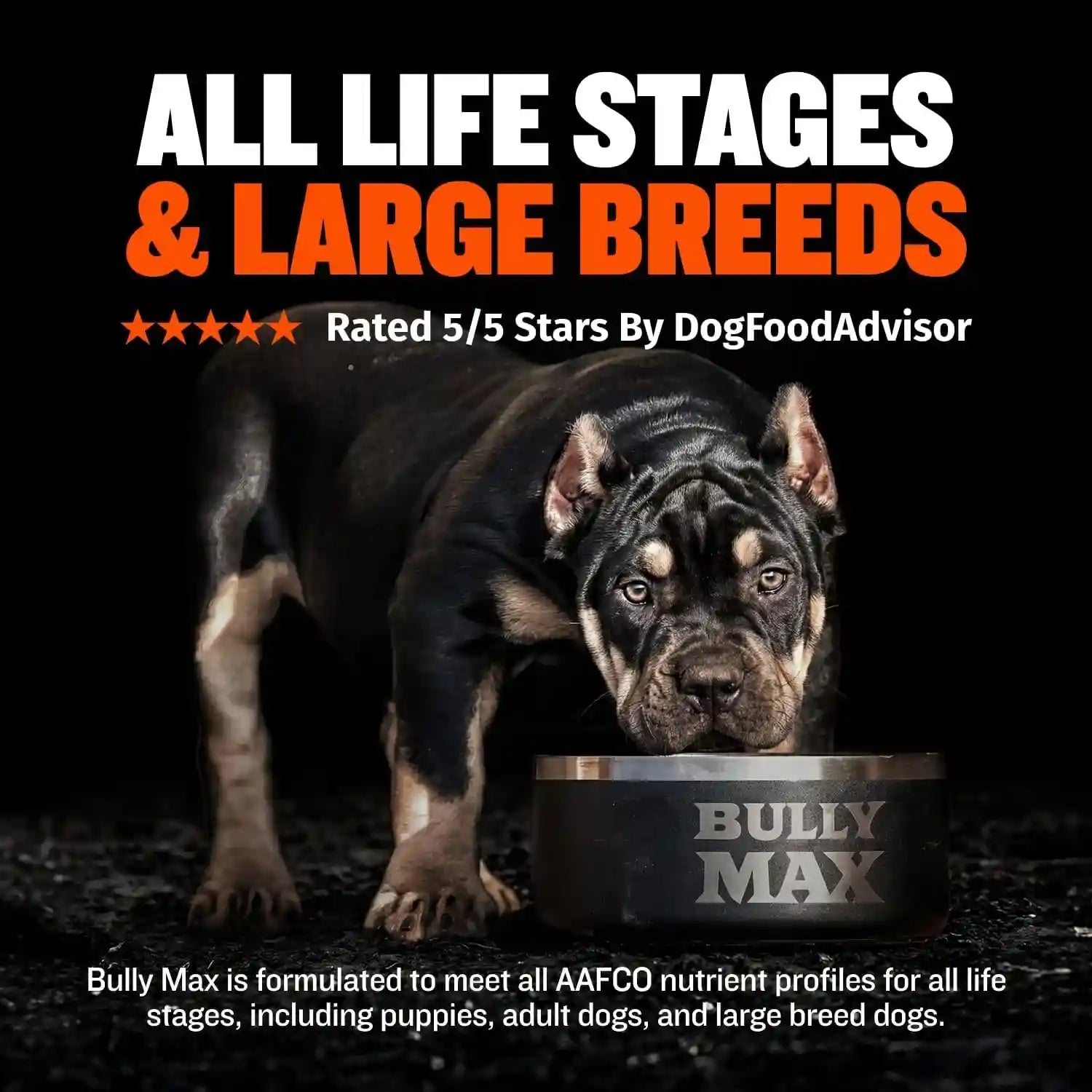bully-max-dry-dog-food-for-adults-puppies-high-protein-fat-for-muscle-weight-gain-high-performance-dog-food-supplements-small-large-breed-dogs-535-calories-per-cup-chicken-15lb-bag