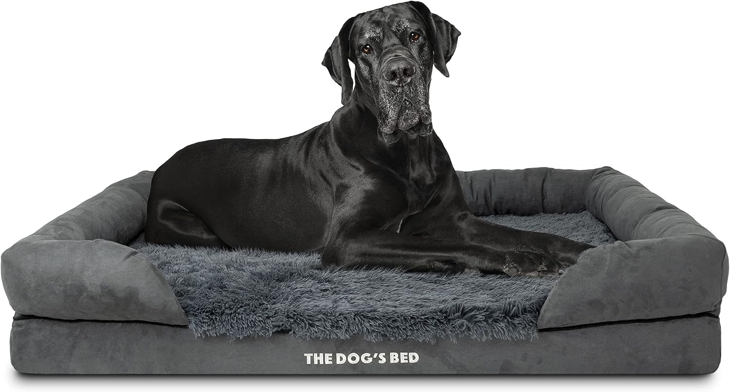 the-dog-s-bed-orthopedic-memory-foam-dog-bed-with-bolsters-for-large-dogs-high-density-support-mattress-low-front-entry-removable-washable-cover-oxford-fabric-blue-with-dark-red-trim-large