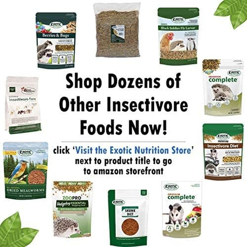 hedgehog-essential-chicken-kibble-with-mealworms-1-75-pound