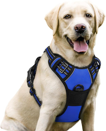 Rabbitgoo Dog Harness, No Pull for Large Dogs with 2 Leash Clips, Pet Vest | No Choke with Handle, Adjustable Soft Padded, Reflective, Easy Control for Walking, Black, Large37