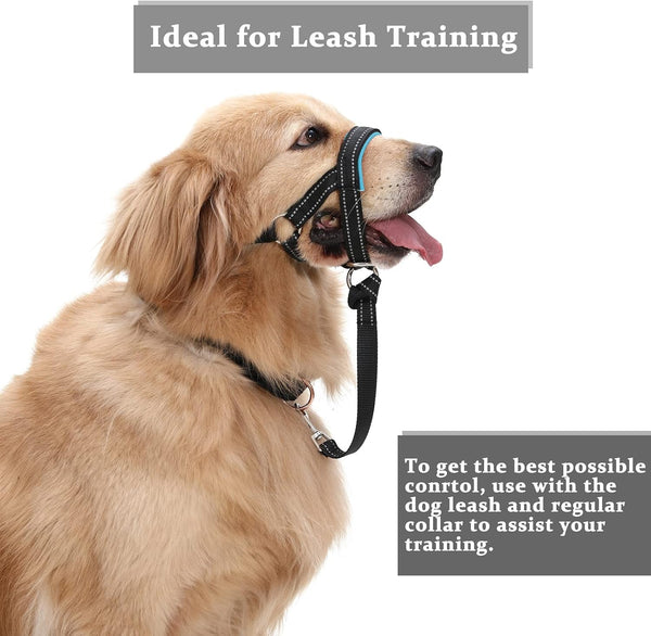 BARKLESS Dog Head Collar, No Pull Training Collar with Soft Padding | Reflective Head Halter for Large Dogs, Labrador, Controls Pulling and Lunging with Secure Safety Strap for Daily Walks7