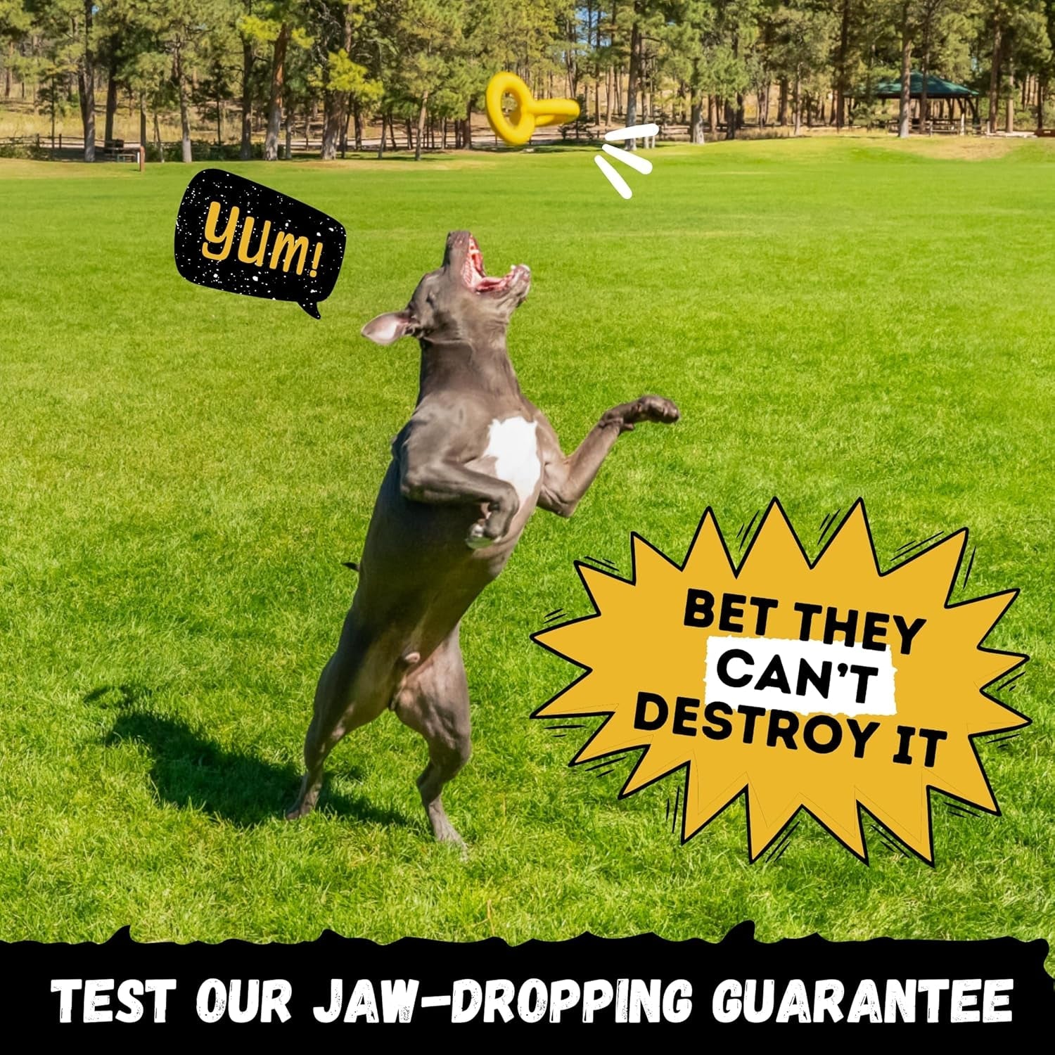 tug-rings-indestructible-dog-toy-for-aggressive-chewers-durable-power-chewer-toy-tough-heavy-duty-natural-rubber-safe-non-toxic-medium-large-breed-6-5in