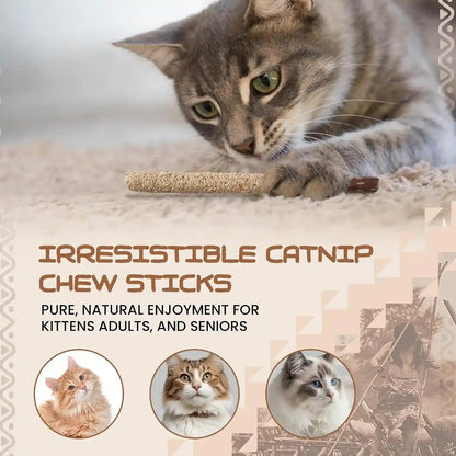 HUPA Cat Chew Sticks | Anxiety Relief & Digestive Support, Kitten Teething Chews, Cat Dental Chews | Natural Catnip Teething for Indoor Cats, Energetic Chew for All Ages & Breeds | 6 Sticks6