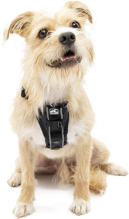 Kurgo Tru-Fit Smart Harness, Black, Small | Dog Walking Harness with Quick Release Buckles, Front & Back Leash Attachments, Reflective Trim, Includes Seatbelt Tether1