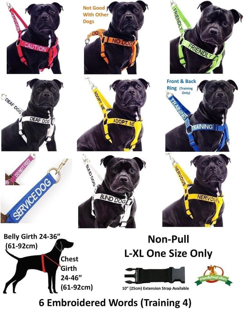 adopt-me-yellow-color-coded-l-xl-non-pull-dog-harness-new-home-needed-donate-to-your-local-charity