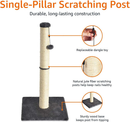 Amazon Basics Cat Scratching Post for Indoor Cats & Kittens, Medium (31.5"H), Cat Furniture with Dangling Ball Toy, Grey2