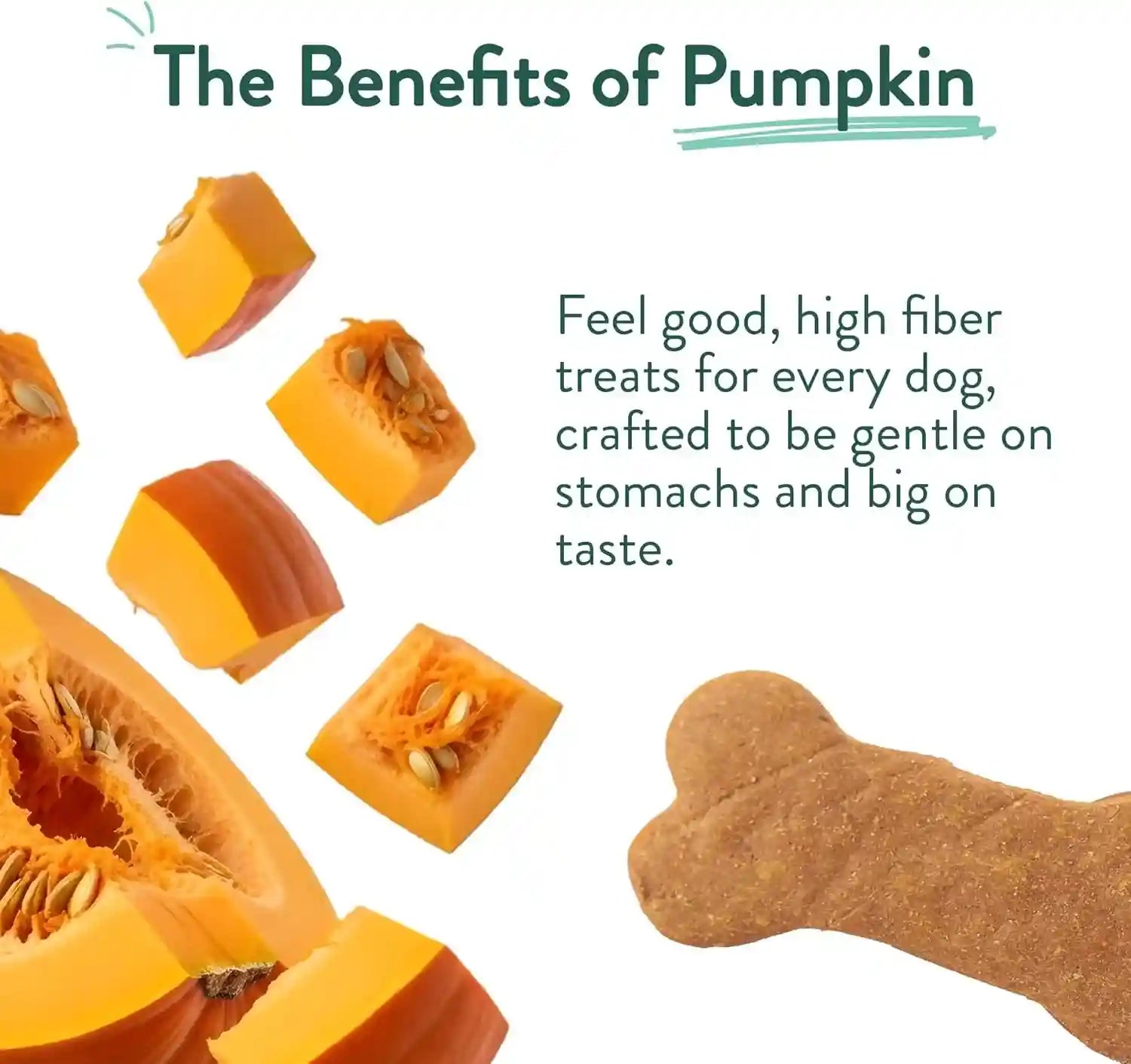 portland-pet-food-pumpkin-dog-treats-healthy-grain-free-biscuits-5-oz-human-grade-limited-ingredient-natural-low-calorie-training-treats-for-small-large-dogs-puppy-to-senior-made-in-usa