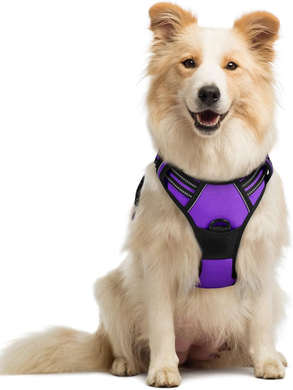 rabbitgoo-dog-harness-no-pull-for-large-dogs-with-2-leash-clips-pet-vest-no-choke-with-handle-adjustable-soft-padded-reflective-easy-control-for-walking-black-large