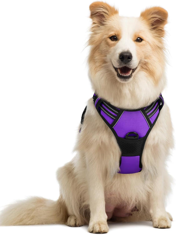 Rabbitgoo Dog Harness, No Pull for Large Dogs with 2 Leash Clips, Pet Vest | No Choke with Handle, Adjustable Soft Padded, Reflective, Easy Control for Walking, Black, Large104