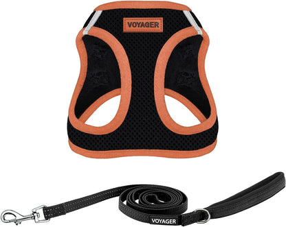 Best Pet Supplies Voyager Step-In Air All Weather Mesh Harness and Reflective Dog 5Ft Leash Combo with Neoprene Handle, for Small, Medium and Large Breed Puppies - Baby Blue, Small37