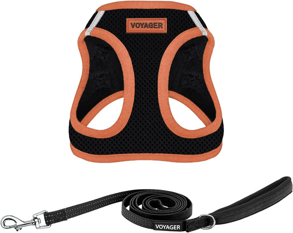 Best Pet Supplies Voyager Step-In Air All Weather Mesh Harness and Reflective Dog 5Ft Leash Combo with Neoprene Handle, for Small, Medium and Large Breed Puppies - Baby Blue, Small37