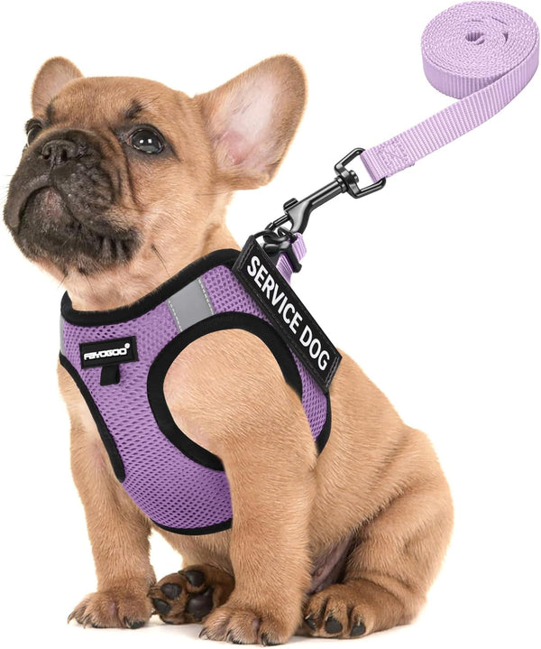 FAYOGOO Service Dog Vest for Small Dogs - Lightweight Dog Harness with 6PCS Removable Patches - Puppy Harness and Leash Set for Walking,Training8