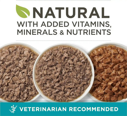 Purina ONE Natural, High Protein Cat Food Variety Pack, Turkey, Chicken and Tuna Recipes - (2 Packs of 12) 3 Oz. Cans3