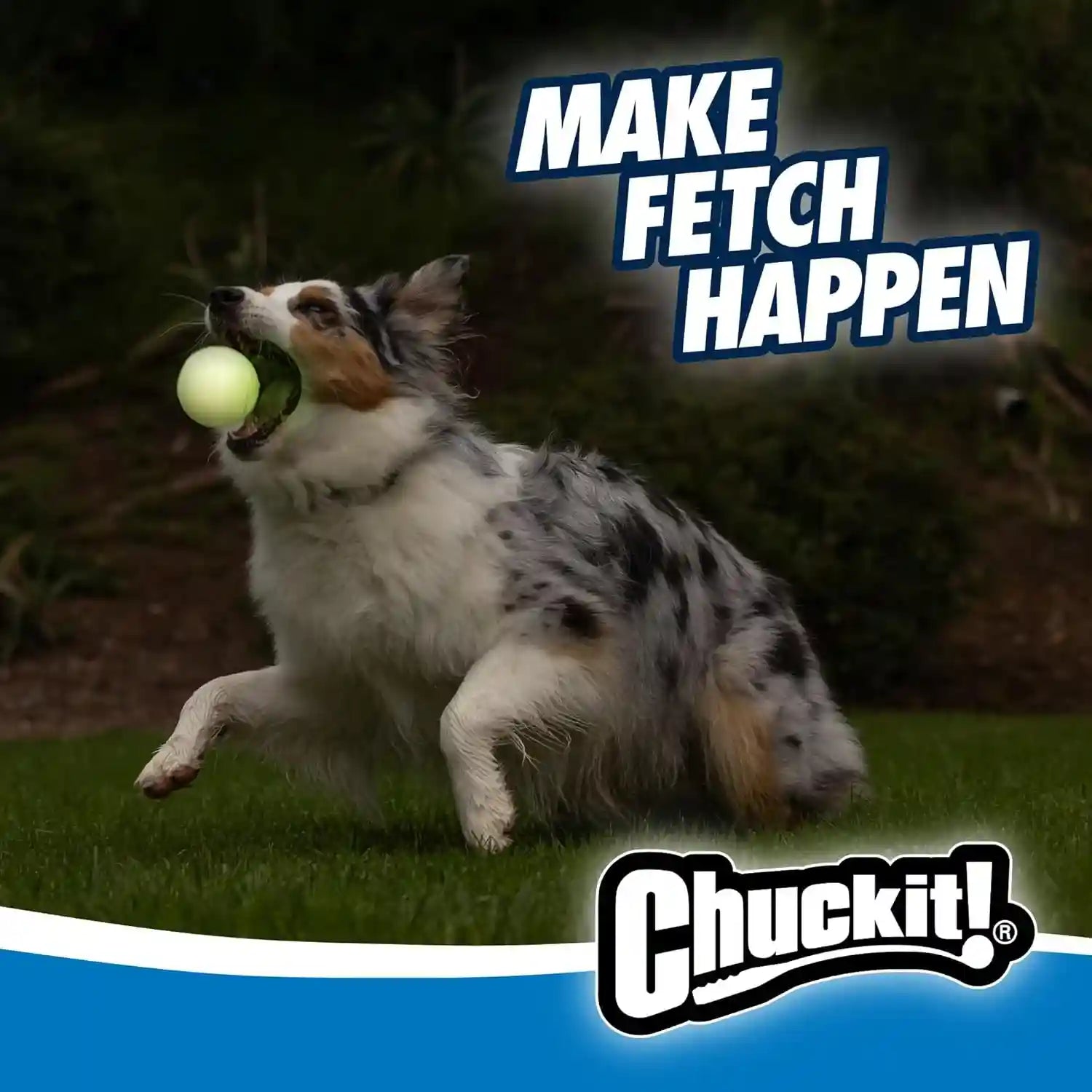 chuckit-glow-in-the-dark-bouncy-balls-ball-for-dogs-chuckit-dog-toy-max-glow-balls-medium-2-5-inch-pack-of-2