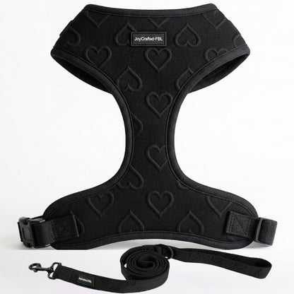 No Pull Harness & Leash Set for Small Sized Dogs, Soft Padded Breathable Neoprene Harnesses, Lightweight Adjustable Step-In Vest with Cute Heart Print & Secure Back D-Ring, Neck 13-17", Chest 16-21"9