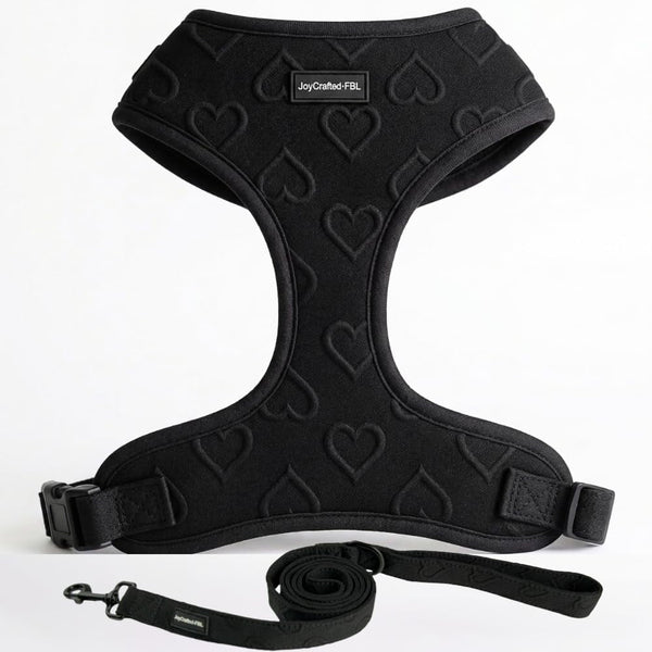 No Pull Harness & Leash Set for Small Sized Dogs, Soft Padded Breathable Neoprene Harnesses, Lightweight Adjustable Step-In Vest with Cute Heart Print & Secure Back D-Ring, Neck 13-17", Chest 16-21"9