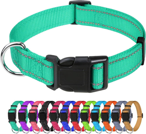 Tagme Small Dog Collar, Reflective Puppy Collar, Sky Blue, 3/8" Width | Lightweight, Nylon Collar for Puppies, Chihuahua, Yorkie & Teacup Dogs 5-15 Lbs, Reflective for Evening Walks, 12 Colors42