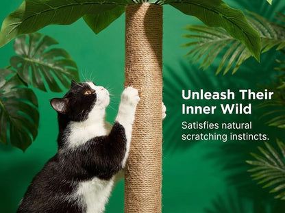 LEMONDA 31.5Inch Cat Scratching Post,Cat Scratcher Tree with 3 Scratching Poles & 2 Interactive Dangling Balls,Cats Scratching Posts for Indoor Kitten & Adult Cats | Cat Scratcher Tree, 3 Scratching Poles, Cat Scratching Posts,2 Interactive Dangling Balls, for Indoor Kitten & Adult Cats5