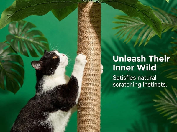 LEMONDA 31.5Inch Cat Scratching Post,Cat Scratcher Tree with 3 Scratching Poles & 2 Interactive Dangling Balls,Cats Scratching Posts for Indoor Kitten & Adult Cats | Cat Scratcher Tree, 3 Scratching Poles, Cat Scratching Posts,2 Interactive Dangling Balls, for Indoor Kitten & Adult Cats5