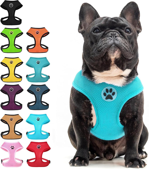 BINGPET Small Dog Harness, No Pull Dog Harness Small Sized Dogs, Soft Light Breathable Mesh Puppy Vest with Safety Buckle-Adjustable Step in Pet Harnesses for Easy Walking, Running, Training27