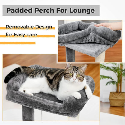 Cat Scratching Post, 19.69" H(50Cm) Cat Tree with Cat Bed, Scratching Posts for Indoor Cats with Two Plush Balls Toy, Small Cat Tree for Kittens/Cats Playing and Relaxing (20 in Grey Cat Tree)5