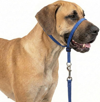 Headcollar for Dogs, Extra Soft Padded, Reflective, No Pull Dog Collar, Gentle Leader for Dogs with Durable Nylon Leash, Padded Handle - Navy Blue (Large)8