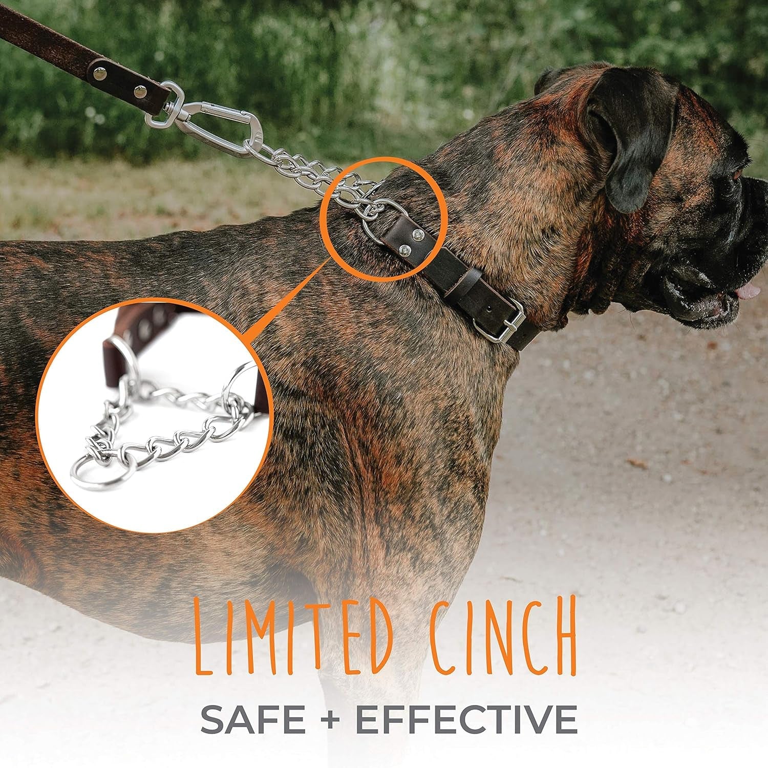 mighty-paw-martingale-dog-collar-no-pull-design-stainless-steel-chain-limited-chain-cinch-training-brown-leather-martingale-training-collar-medium-size