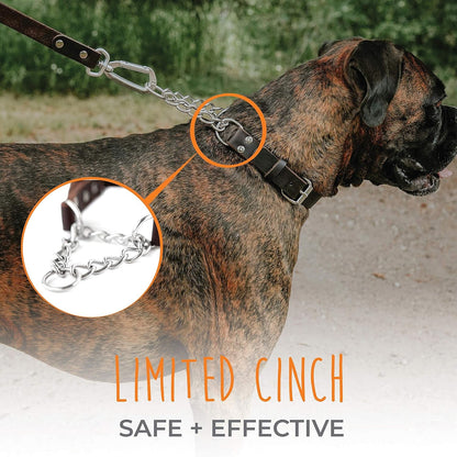 Mighty Paw Martingale Dog Collar - No Pull Design - Stainless Steel Chain - Limited Chain Cinch Training - Brown Leather Martingale Training Collar - Medium Size5