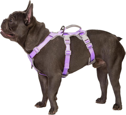Huntboo Escape Proof Harness, No Slip Dog Harness Escape Proof, Fully Reflective Harness with Handle, Breathable, Durable, Adjustable Vest for Medium Dogs Walking and Training Gear (Black, M)24