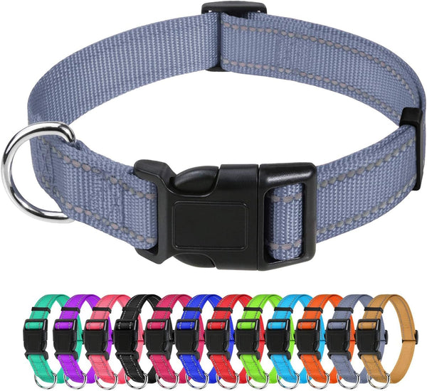 Tagme Small Dog Collar, Reflective Puppy Collar, Sky Blue, 3/8" Width | Lightweight, Nylon Collar for Puppies, Chihuahua, Yorkie & Teacup Dogs 5-15 Lbs, Reflective for Evening Walks, 12 Colors45