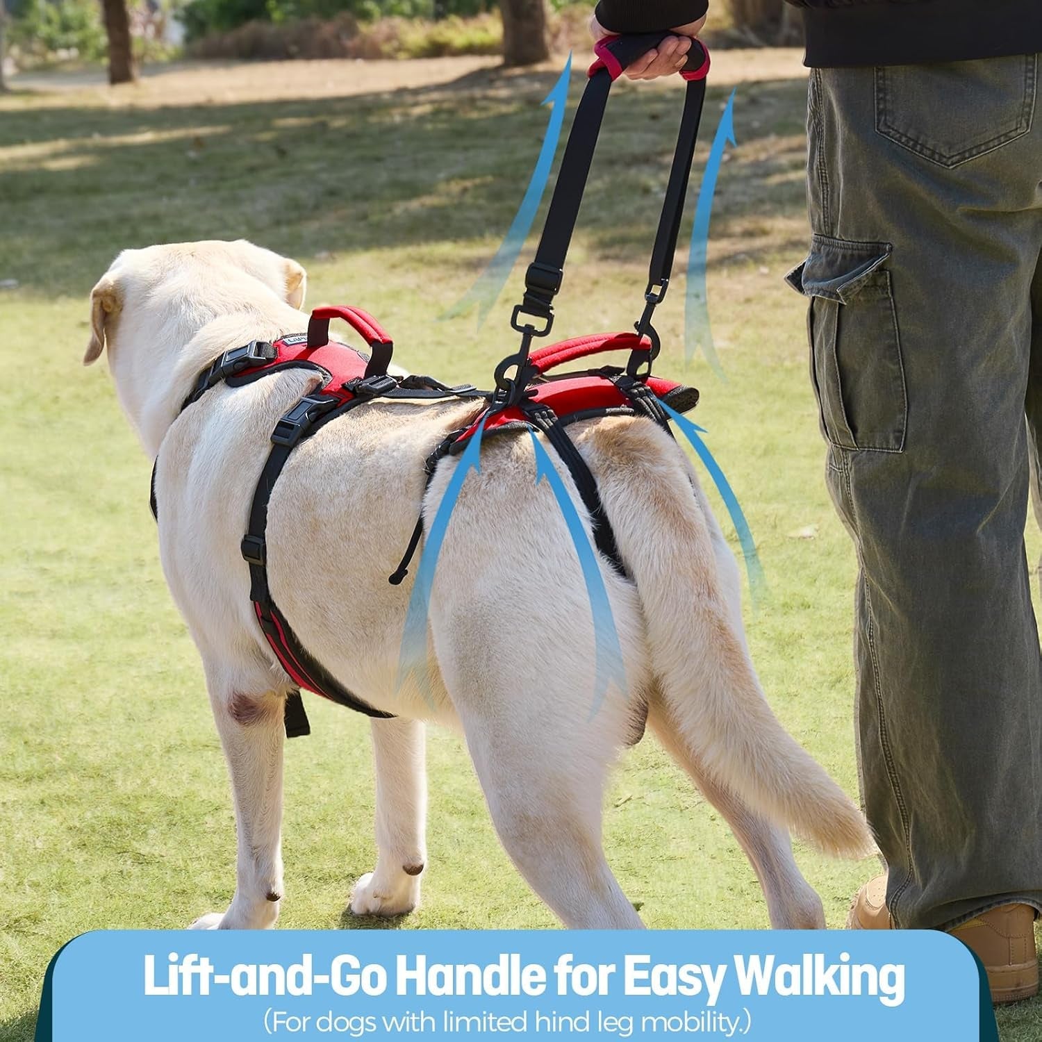 dog-lifting-harness-for-medium-dogs-dual-handle-dog-support-harness-for-daily-walking-assistance-male-dog-friendly-breathable-easy-on-mobility-aid-red-m
