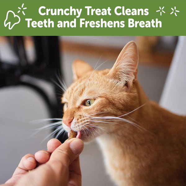 Wellness WHIMZEES Cat Dental Treats, Freshens Breath, Chicken and Salmon Flavor, 4.5 Oz Bag5