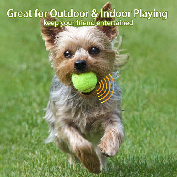 Magicorange Dog Tennis Balls, 20 Pack 2.5 Inch Squeaky Tennis Balls | Floatable Squeaky Dog Balls for All Breed Dogs,Natural Rubber,Colorful Easy Catching Multicolor,With Mesh Bag6