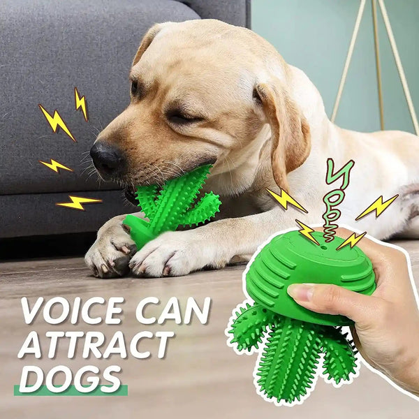 Pamlulu Dog Chew Toys Dog Toothbrush Stick Teeth Cleaning Brush Dental for Medium Large Dog, Puppy Christmas Easter Birthday Gifts, Outdoor Squeaky Toys for Aggressive Chewers Interactive Tough Toys4
