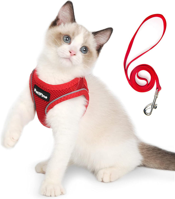 Small Dog Harness and Leash Set Breathable Step-In Puppy Cat Harness,Xs | Reflective for Safe Easy Walking,Soft Light Puppy Vest,Escape Proof,No Pull Harness for Dogs,All Weather Air Mesh Harness18