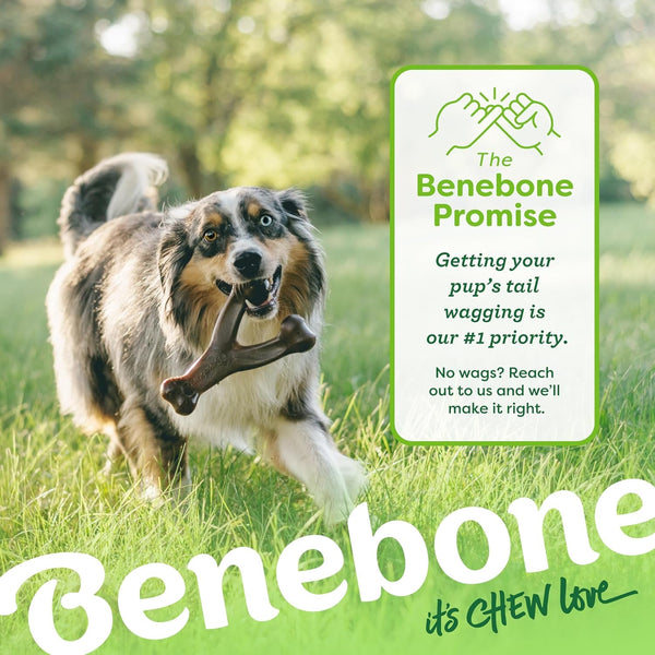 Benebone Wishbone Durable Dog Chew Toy for Aggressive Chewers, Real Bacon, Made in USA, Medium6