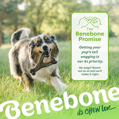 Benebone Wishbone Durable Dog Chew Toy for Aggressive Chewers, Real Chicken, Made in USA, Medium, for All Breed Sizes6
