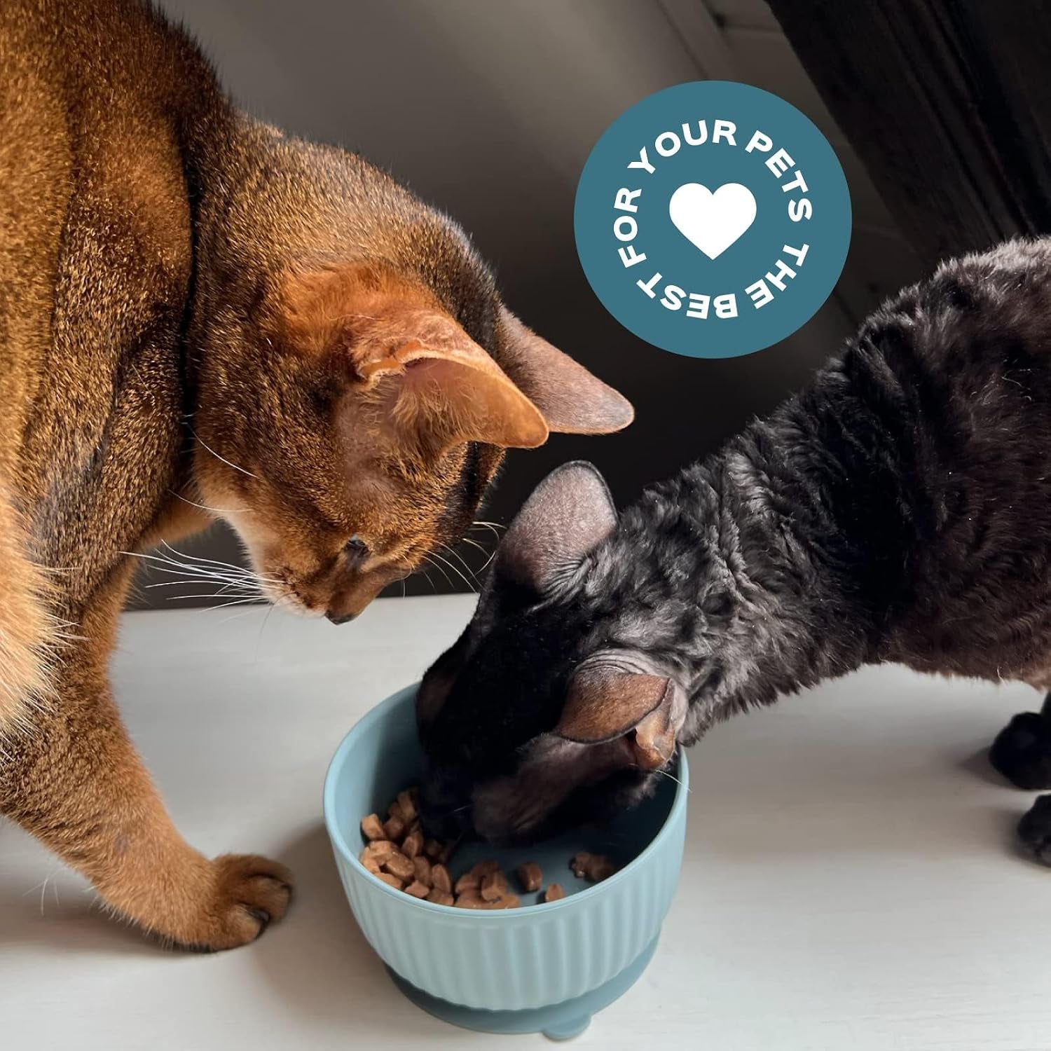 cat-bowls-with-suction-cup-13-oz-elevated-silicone-pet-dish-with-non-slip-bottom-for-dry-food-wet-food-and-water-light-grey