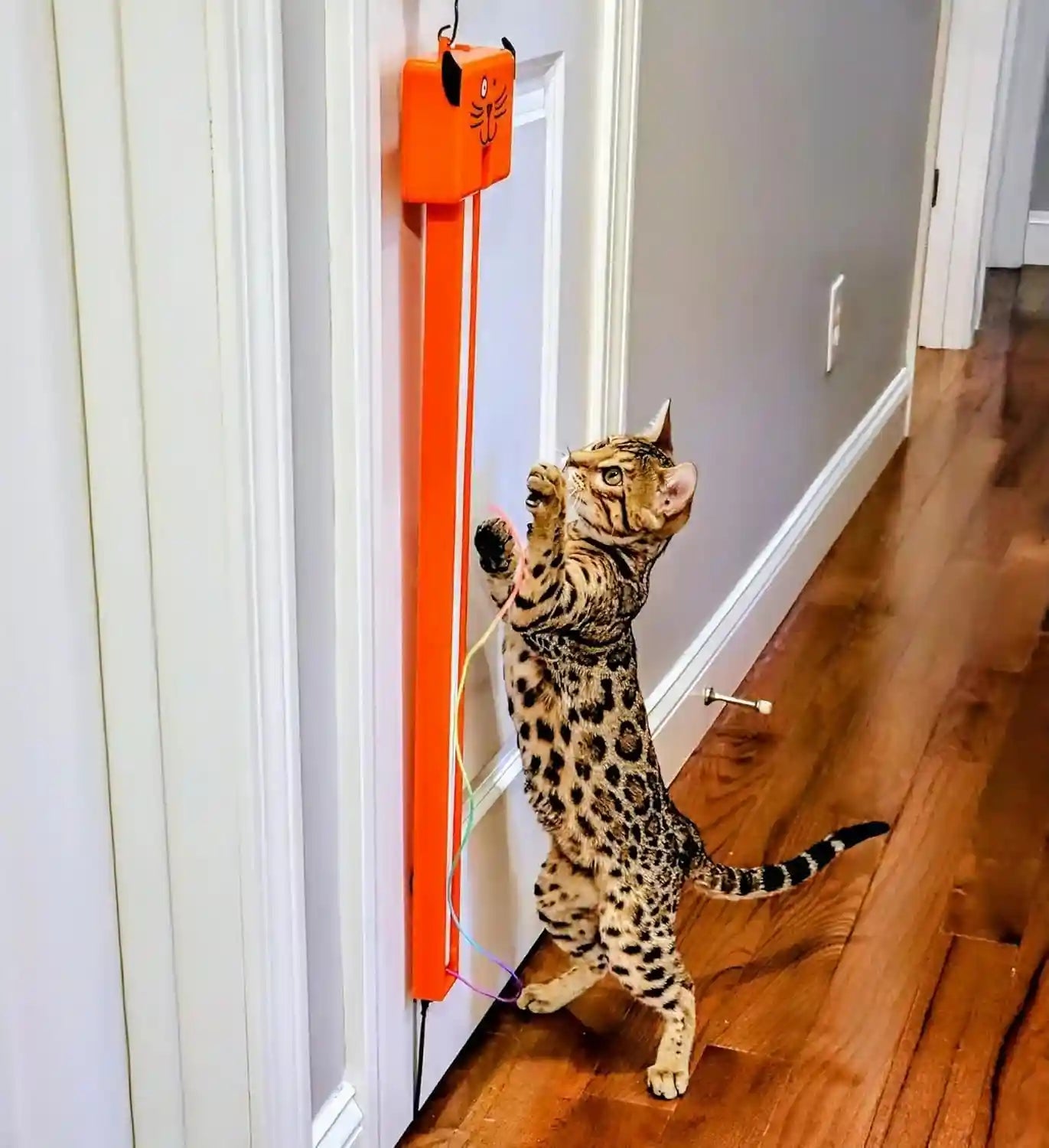 moody-pet-interactive-cat-toy-for-indoor-cats-fling-ama-string-automatic-moving-flying-string-toy-for-cats-battery-operated-door-hanging-exercise-toy-for-kittens-adult-cats