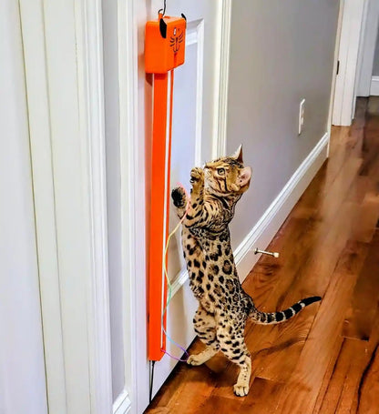 Moody Pet Interactive Cat Toy for Indoor Cats – Fling-Ama-String Automatic, Moving, Flying String Toy for Cats – Battery Operated, Door Hanging Exercise Toy for Kittens & Adult Cats7