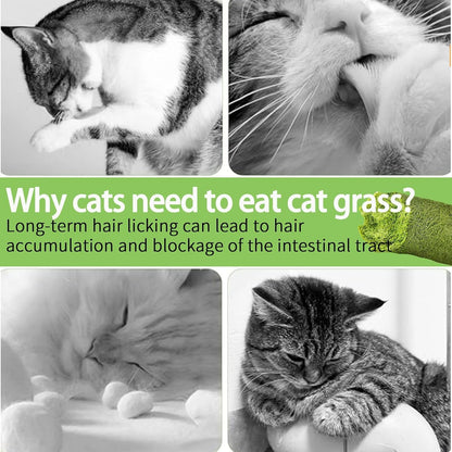 Meowly 110G Cat Grass ﻿Sticks for Cats, Natural Chicken Flavored Cat Grass ﻿Sticks for Teeth Cleaning and Hairball Remedy7