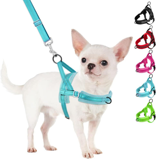 Slowton No Pull Small Dog Harness and Leash Set, Puppy Soft Vest Harness Neck & Chest Adjustable, Reflective Lightweight Harness & Anti-Twist Pet Lead Combo for Small Medium Dogs (Fuchsia, XXS)17