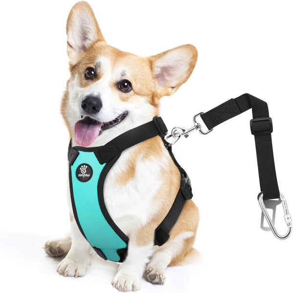 Vavopaw Dog Seat Belt Vest Harness for Car,2 in 1 Seatbelt Buckle | Soft Breathable Mesh,Adjustable Buckle,Nylon,Heavy Duty Pet Safety Seat Belts for Small Medium Large Pets,Black,L37