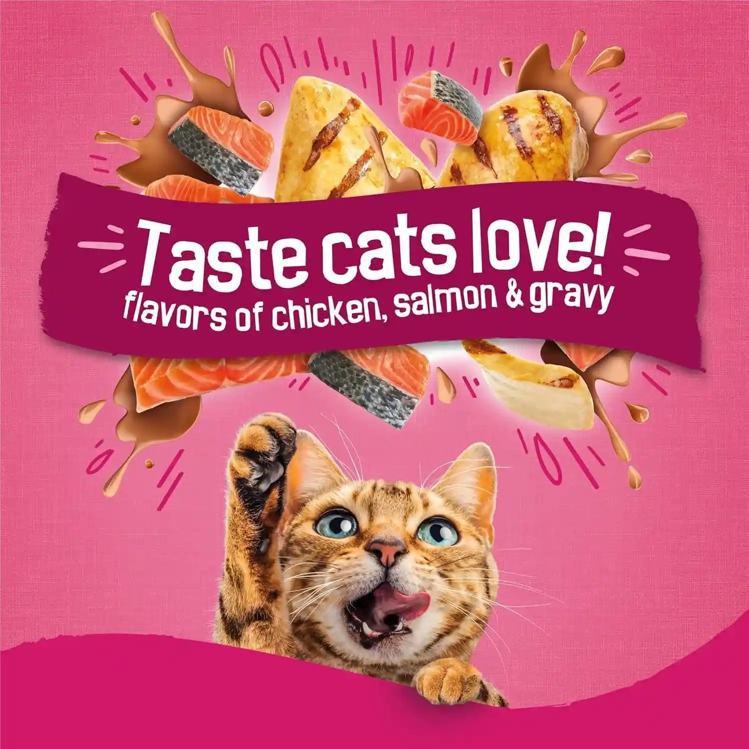 purina-friskies-gravy-swirlers-with-flavors-of-chicken-salmon-and-gravy-dry-cat-food-3-15-lb-bag