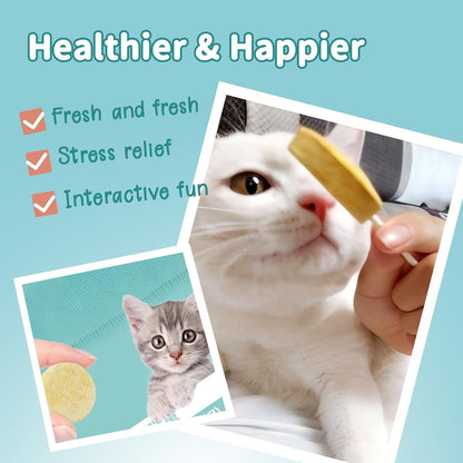 Lollipop Cat Treats, Freeze-Dried Lickable Snacks for Indoor Cats, Natural Soft Puree Wet Snacks Pops, Premium Cat Treats Lollipop Ideal for All Breeds and Ages Cats (Mixed (25 Pcs))7
