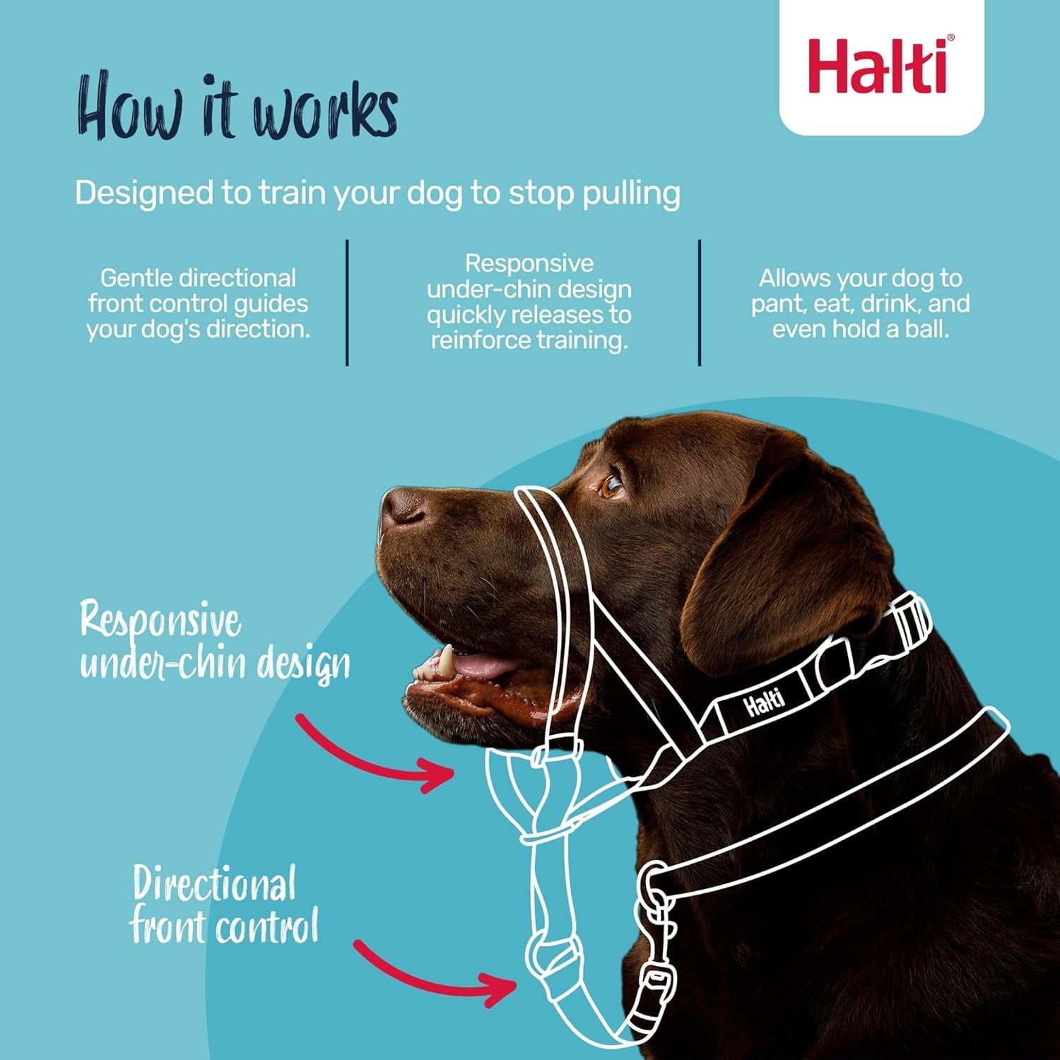 halti-headcollar-size-4-black-halti-training-leash-size-large-black-bundle-stop-your-dog-pulling-on-the-leash-adjustable-lightweight-with-padded-nose-band-suitable-for-large-dogs