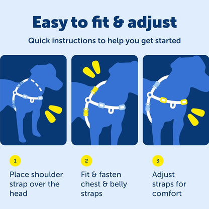 Petsafe Easy Walk Deluxe Dog Harness, No Pull Dog Harness – Perfect for Leash & Harness Training – Stops Pets from Pulling and Choking on Walks – Medium, Ocean8