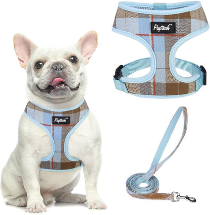 PUPTECK Soft Mesh Dog Harness Small Sized and Leash Set Pet Puppy Cat Comfort Padded Vest No Pull Harnesses, Beige, S91